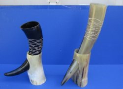 Engraved Drinking Horns with Wavy lines and Horn Stands 13 to 15 inches <font color=red> Wholesale</font> - 6 @ $17.50 each; 8 @ $15.50 each 