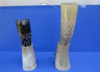 Engraved Drinking Horns with Wavy lines and Horn Stands 13 to 15 inches <font color=red> Wholesale</font> - 6 @ $17.50 each; 8 @ $15.50 each 