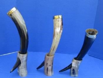 15 to 17 inches Polished Drinking Horn with Thick Brass Rim and Horn Stand for Sale - $28.99