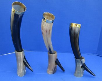 15 to 17 inches Polished Drinking Horn with Thick Brass Rim and Horn Stand for Sale - $28.99