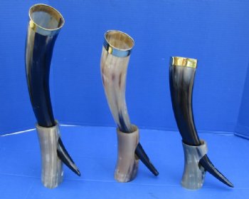 15 to 17 inches Polished Drinking Horns with Thick Brass Rim and Horn Stands <font color=red> Wholesale</font> - 8 @ $15.95 each