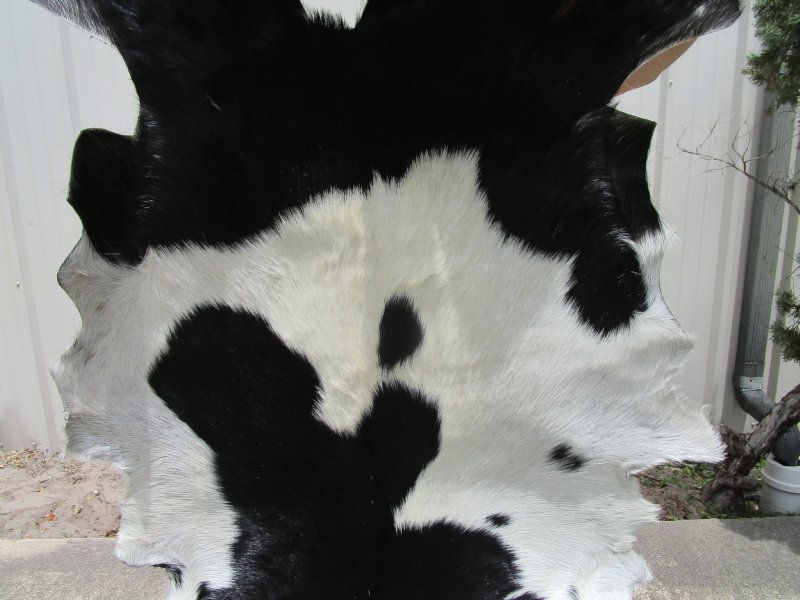 39 by 31 inches Real Goatskin Hide for Sale with fur in a black and