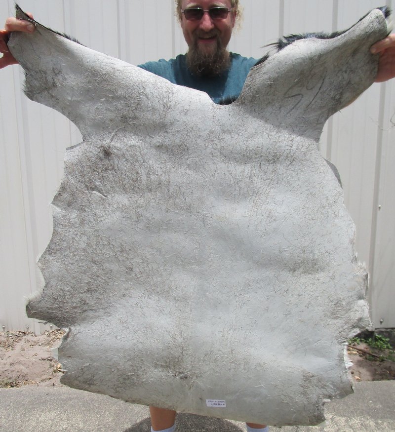 39 by 31 inches Real Goatskin Hide for Sale with fur in a black and
