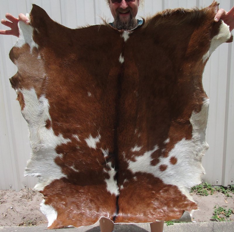 39 by 34 inches Brown and White Goat Skin/Hide for Sale