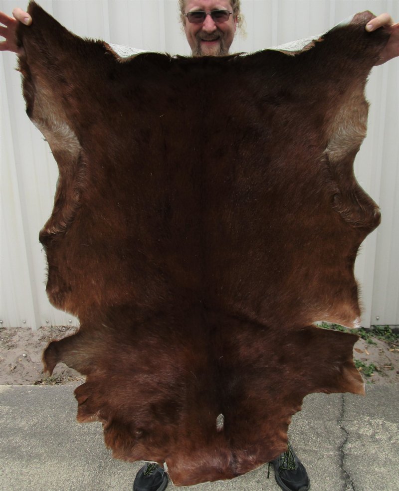 goat leather hides for sale goat leather hides for sale