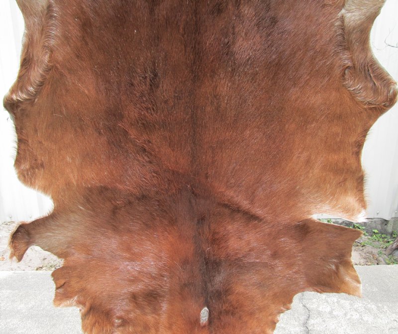 goat hides goat hides