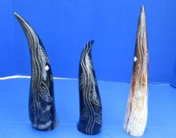 Polished and Carved Buffalo Horn with a Vine Design <font color=red> Wholesale</font> 14 to 16 inches - 8 @ $12.80 each