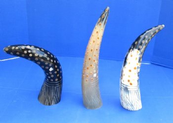 Painted and Carved Buffalo Horns <font color=red> Wholesale</font> with Tan Dots and Carved Blades of Grass  14 to 16 inches - 8 @ $12.80 each