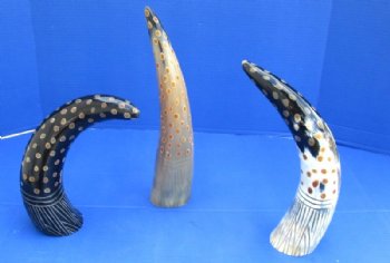 Painted and Carved Buffalo Horns <font color=red> Wholesale</font> with Tan Dots and Carved Blades of Grass  14 to 16 inches - 8 @ $12.80 each