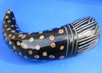 Painted and Carved Buffalo Horn with Tan Dots and Carved Blades of Grass 14 to 16 inches - $20.99