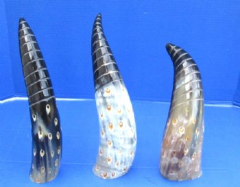 Painted and Spiral Carved Buffalo Horn with Tan Oval Dots 13 to 16 inches - $20.99