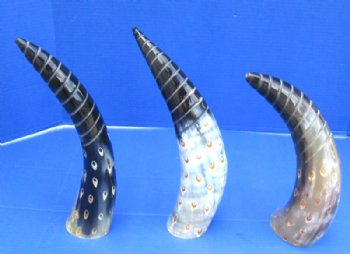 Painted and Spiral Carved Buffalo Horns with Tan Oval Dots <font color=red> Wholesale</font> 13 to 16 inches - 8 @ $12.80 each