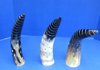 Painted and Spiral Carved Buffalo Horns with Tan Oval Dots <font color=red> Wholesale</font> 13 to 16 inches - 8 @ $12.80 each