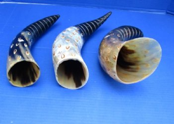 Painted and Spiral Carved Buffalo Horn with Tan Oval Dots 13 to 16 inches - $20.99