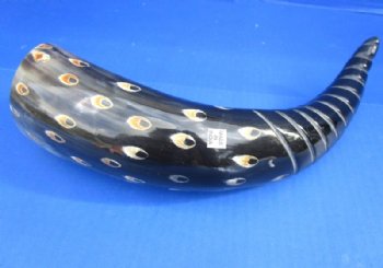 Painted and Spiral Carved Buffalo Horn with Tan Oval Dots 13 to 16 inches - $20.99