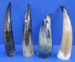 Engraved Cow Horns in a Modern Art Design<font color=red> Wholesale</font> 11 to 14 inches -  8 @ $13.00 each