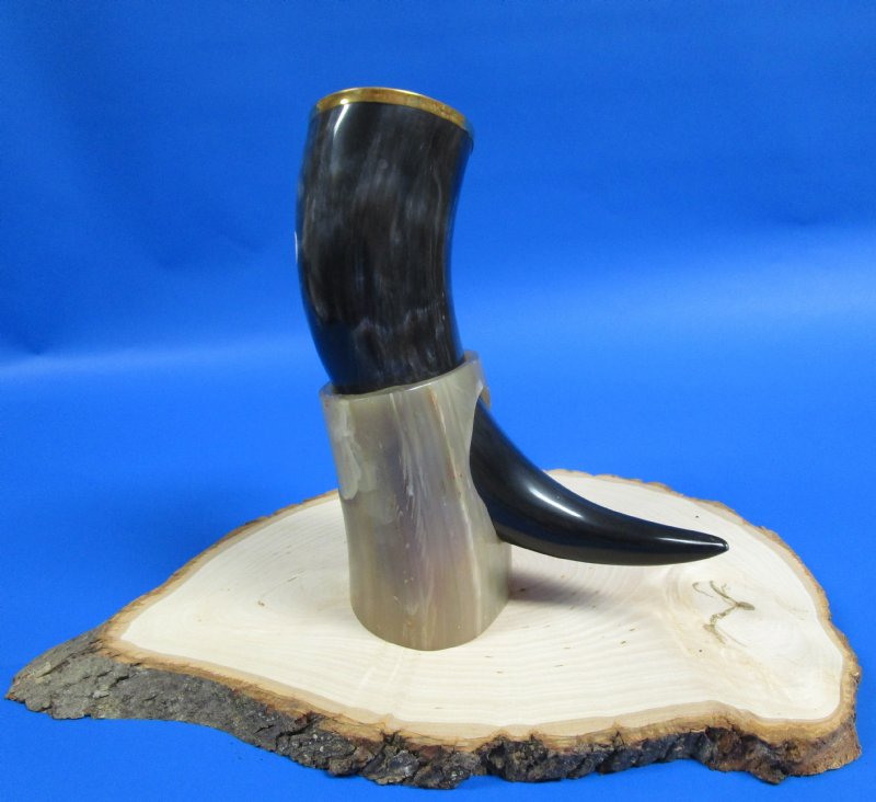 12 inches Authentic Polished Buffalo Drinking Horn with Gold Trim and Stand