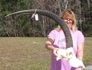 Sable Skulls