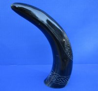12 inches Engraved Starfish Design with Rope Polished Water Buffalo Horn for Sale  - Buy this one for $25.99