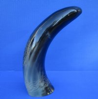 12 inches Engraved Starfish Design with Rope Polished Water Buffalo Horn for Sale  - Buy this one for $25.99