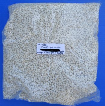 White Periwinkle Shells for Crafts <font color=red> Wholesale</font> Tiny Flat Periwinkle Shells (Littorina obtusata) White Mongo Mongo, 1/4 Inch - Minimum: 4 bags of 4.4 pounds @ $28.80 a bag