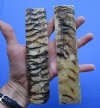 7 by 1-1/2 by 1/4 inches Authentic Pair of Sheep Horn Knife Scales, Blanks for Sale - You are buying the two pictured for $31.99