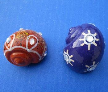 Decorated Hermit Crab Shells Painted In Assorted Modern Art Designs with Rhinestones <font color=red> Wholesale</font> 1-1/2 to 2 inches - 200 @ .45 each