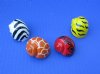 1-1/2 to 2 inches Animal Print Painted Hermit Crab Shells for Sale Packed 50 @ .54 each