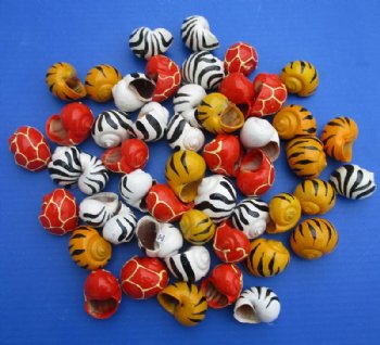 Animal Print Painted Hermit Crab Shells 1-1/2 to 2 inches - 50 @ $.58 each