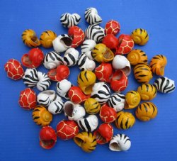 Animal Print Painted Hermit Crab Shells <font color=red> Wholesale</font> 1-1/2 to 2 inches - 250 @ .36 each