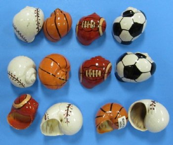 Assorted Painted Sports Balls Hermit Crab Shells<font color=red> Wholesale</font> 1-1/4 to 2 inches - 200 @ .45 each