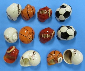 Assorted Painted Hermit Crab Shells with Sports Balls  -  1-1/4 to 2 inches - Packed 50 @ .72 each; 