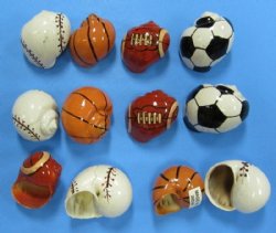Assorted Painted Hermit Crab Shells with Sports Balls  -  1-1/4 to 2 inches - Packed 50 @ .72 each; 