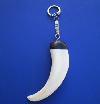 Warthog Tusk Key Rings