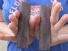 One Pair Dyed Brown Rounded Buffalo Bone Knife Scales - you are buying this pair for <font color=red>$9.99</font> (Plus $7.50 First Class Mail)  