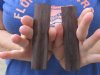5" x 1-1/4" x 1/4" Rounded Buffalo Bone Knife Scales, Dyed Brown - you are buying the pair pictured for <font color=red>$9.99</font> (Plus $7.50 first class mail)