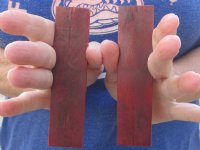 5 inches Dyed Red Rounded Buffalo Bone Scales for <font color=red>$9.99</font> (Plus $7.00 Ground Advantage Mail)