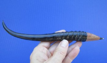 7 inches Genuine Polished Springbok Horn Ink Pen for Sale - Buy this one for $24.99