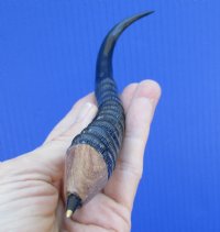 8-1/4 inches Real Springbok Horn Pen for Sale - Buy this one for $24.99