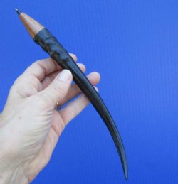 7-7/8 inches Female Springbok Horn Writing Pen for Sale - Buy this one for $23.99