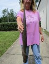 25-3/4 inches Natural Cow Eland Horn for Crafts - Buy this one for $29.99 