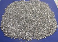 Bulk Tiny Black Umbonium Shells for Sale 1/4 to 1/2 inch - 4.4 pounds @ $6.99 a bag; 3 bags @ $6.40 a bag
