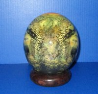 5-3/4 inches Africa's Big 5 Decoupage Ostrich Egg with Wooden Bangle Stand - Buy this one for $49.99