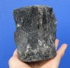 3-3/4 by 3-1/4 by 3-1/8 inches Fossilized Whale Vertebra Bone for Sale - Buy this one for $19.99