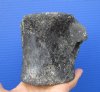 3-7/8 by 4-1/8 by 3 inches Fossil Whale Vertebra Bone for Sale - Buy this one for $19.99