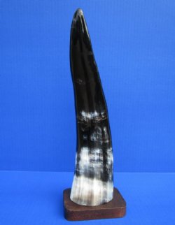 12-1/2 inches Standing Polished Buffalo Horn Sculpture with a Marbleized Look - Buy this one for $19.99