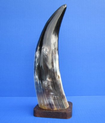 12-1/2 inches Standing Polished Buffalo Horn Sculpture on Wood Base - Buy this one for $19.99