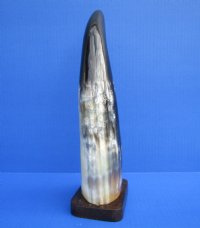 12-1/2 inches Standing Polished Buffalo Horn Sculpture on Wood Base - Buy this one for $19.99
