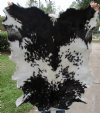 41 by 33 inches Black and White Goat Hide, Skin for Sale - Buy this one for $44.99