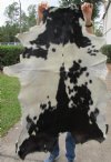44 by 32 inches Authentic Goat Hide, Skin with Black and White Fur Pattern - Buy this one for $44.99